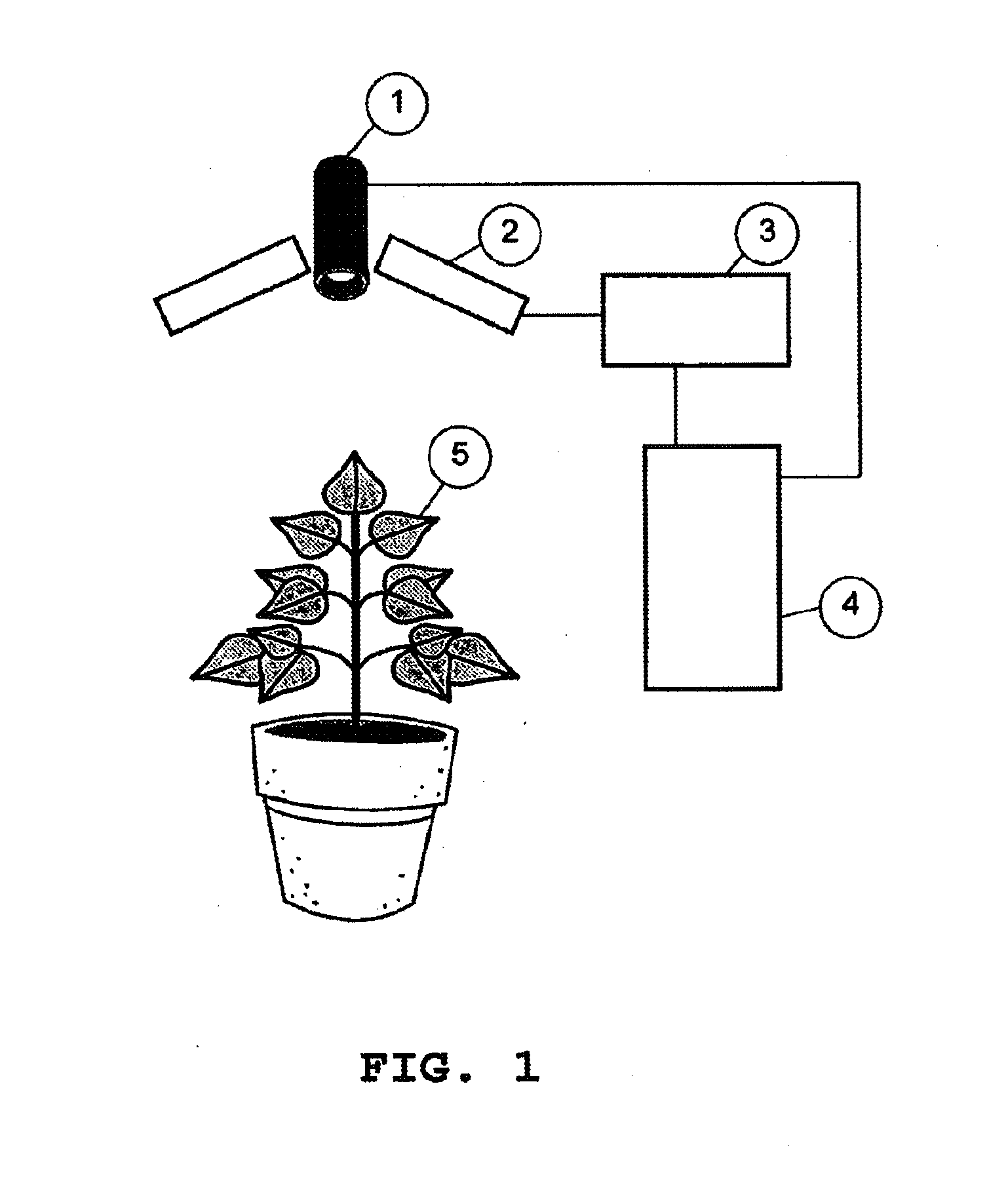 Method and device for determining plant material quality using images containing information about the quantum efficiency and the time response of the photosynthtic system