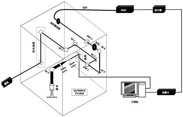 Near infrared laser scanning confocal microscopic imaging system