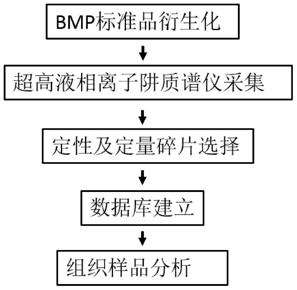 A method for high-throughput detection of bisphospholipids