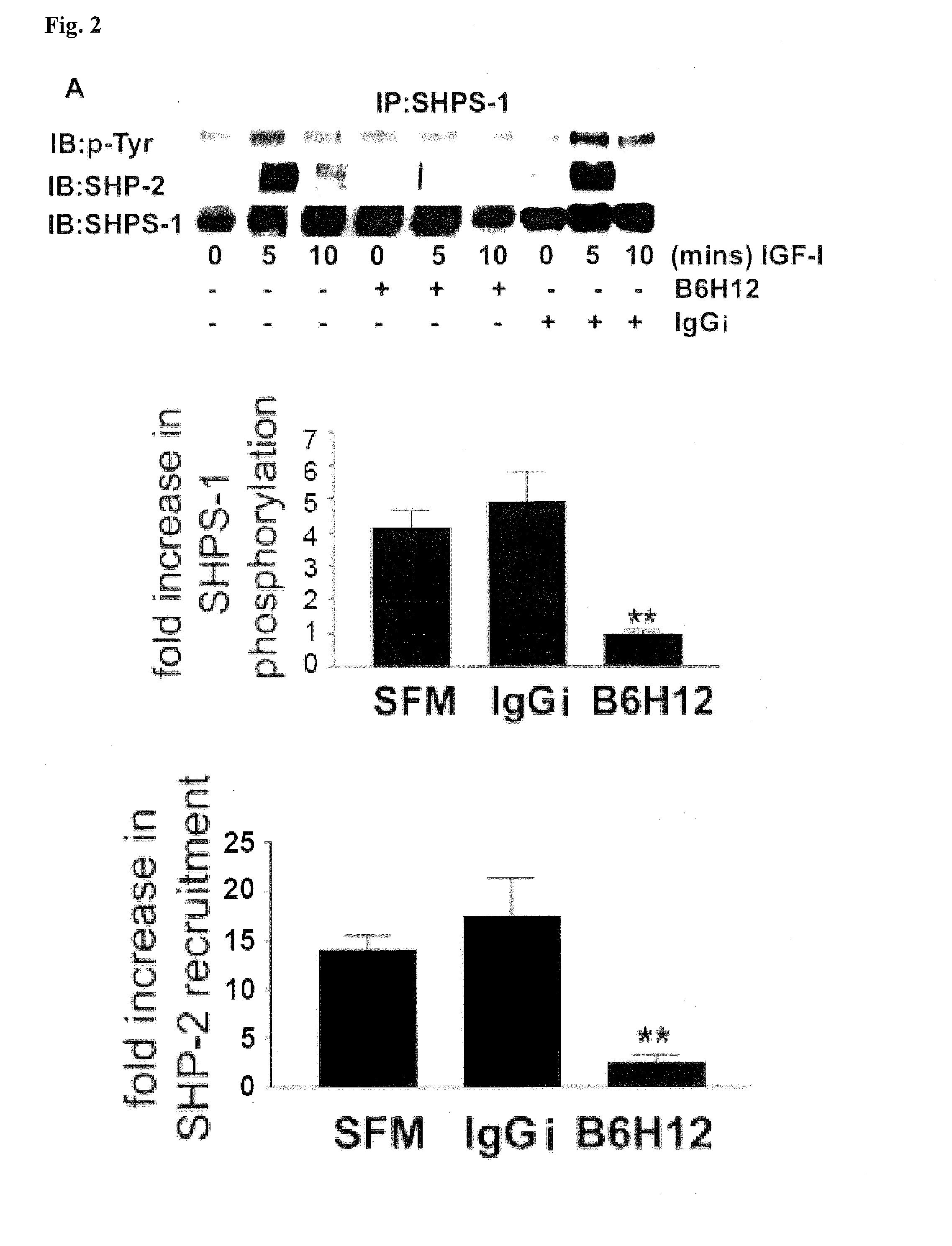Method for inhibiting cellular activation by insulin-like growth factor-1