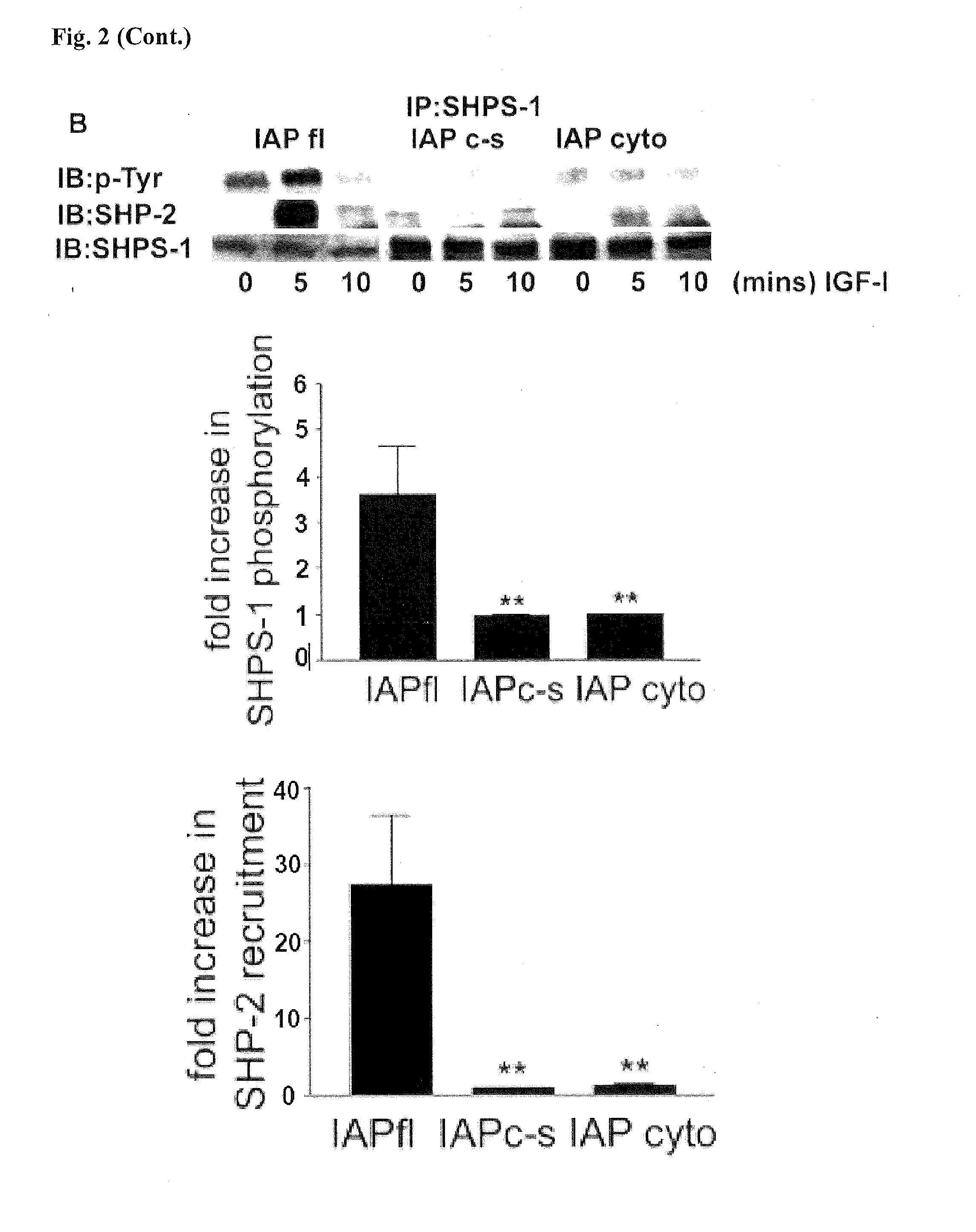 Method for inhibiting cellular activation by insulin-like growth factor-1