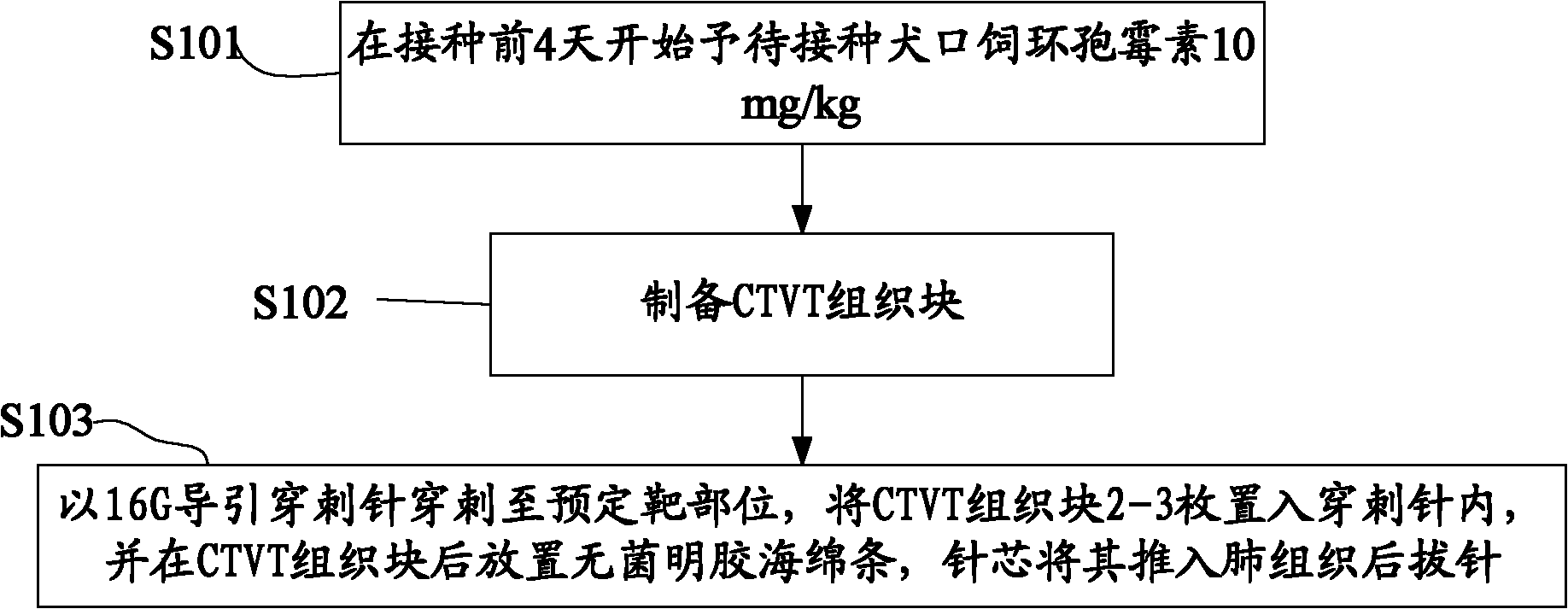Method for constructing lung tumor experimental animal model