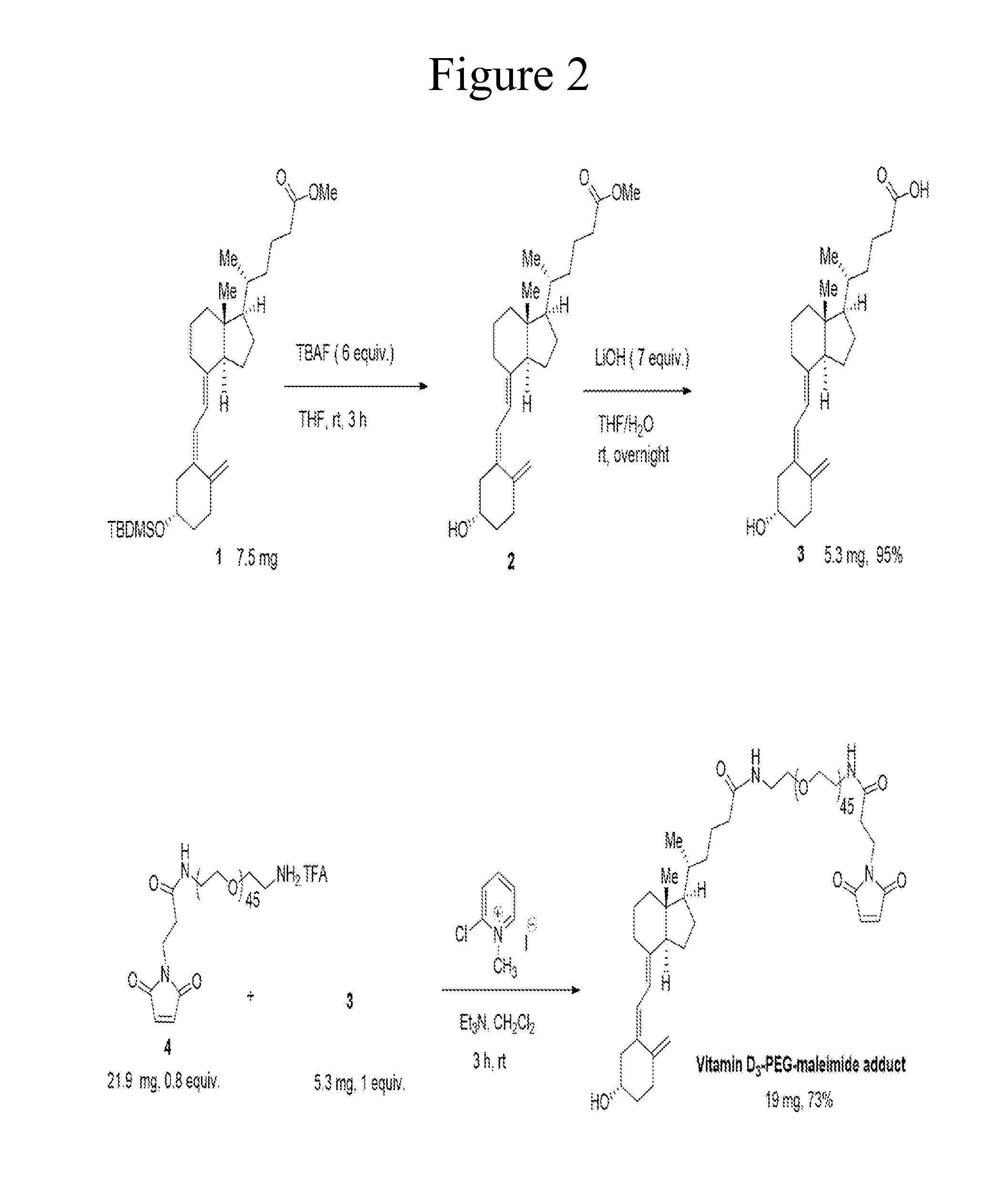 Vitamin d-ghrelin conjugates