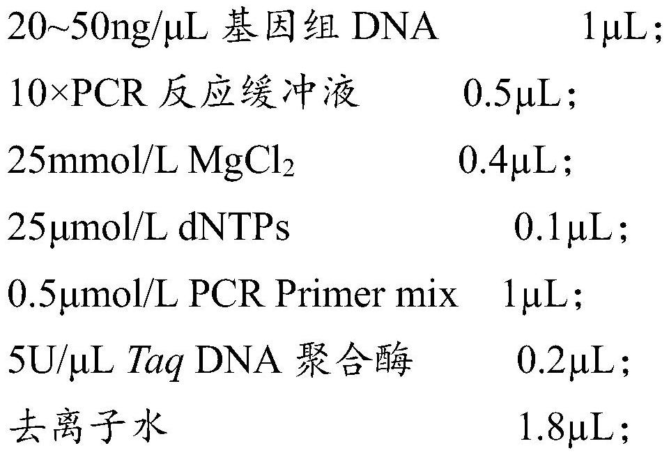 A kind of SNP molecular marker related to sheep multi-lamb trait and its detection kit and application