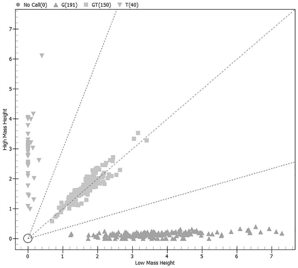 A kind of SNP molecular marker related to sheep multi-lamb trait and its detection kit and application