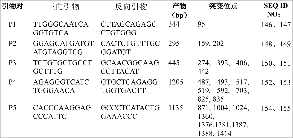 A probe amplification method based on multiple extension ligation, its use and kit