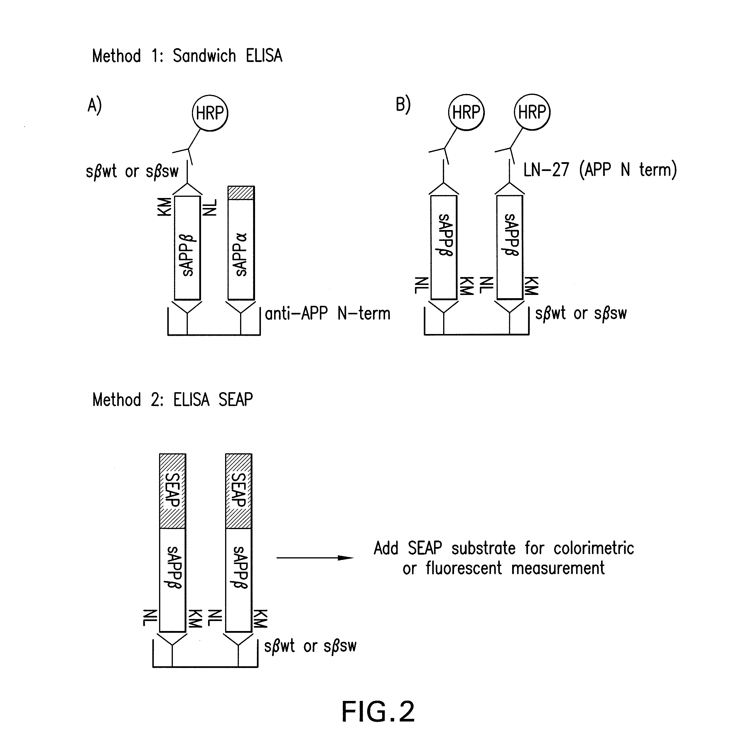 Methods and compositions for detecting and quantifying sappb