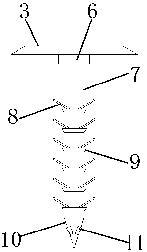Geogrid with anchoring nails and construction method thereof