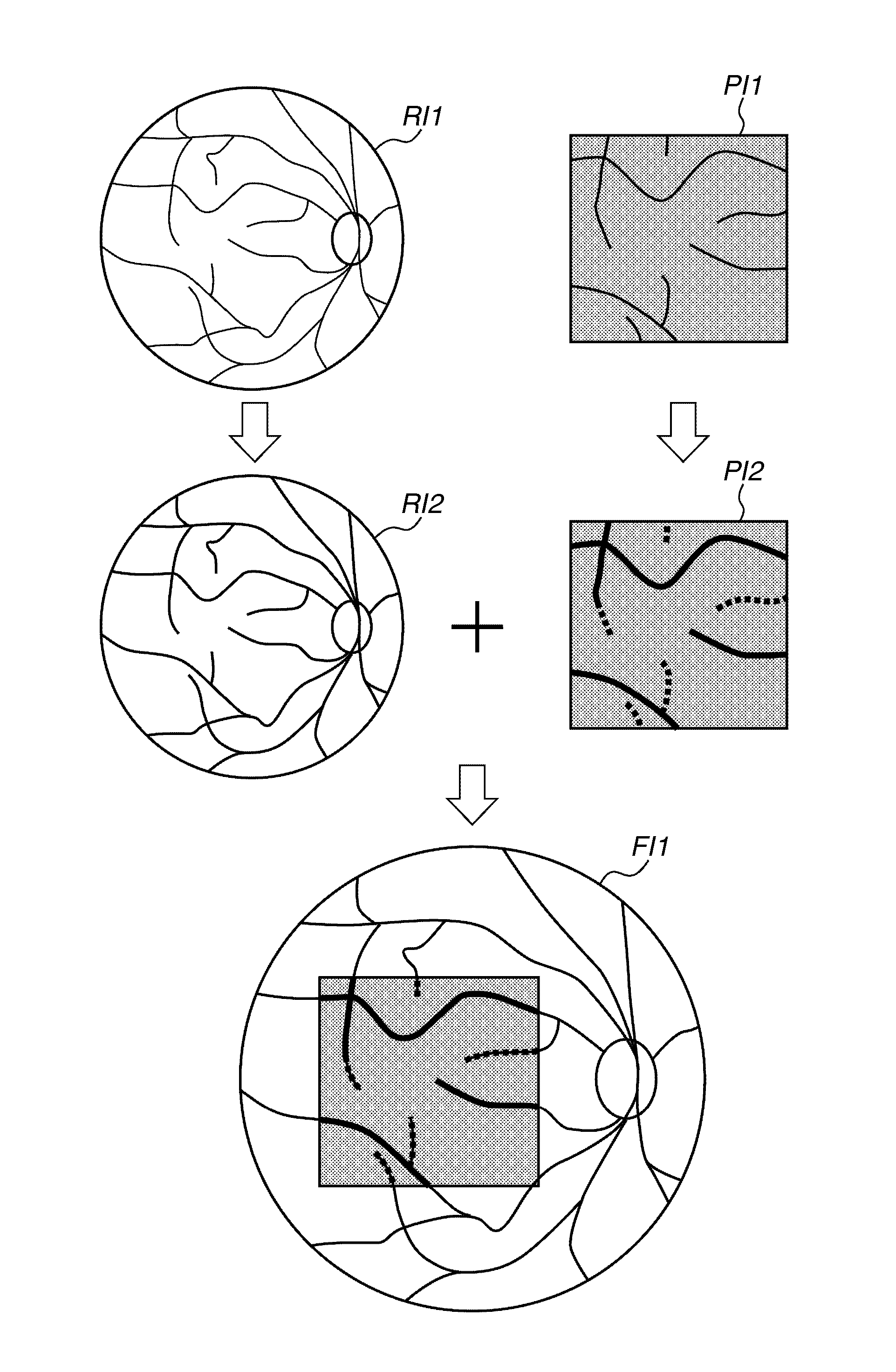 Image processing apparatus, image processing method, image processing system, and computer readable memory