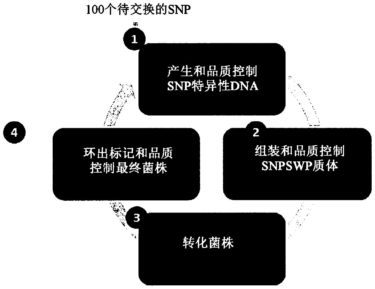 Improvement of microbial strains using the htp genome engineering platform