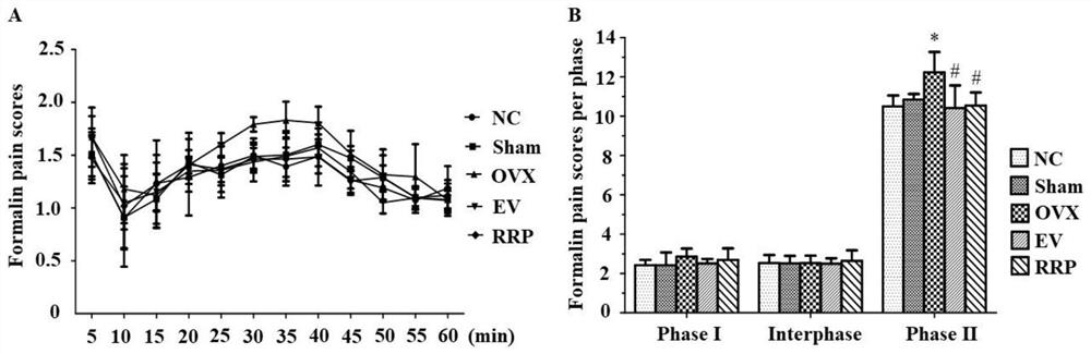 Anti-osteoporosis drug