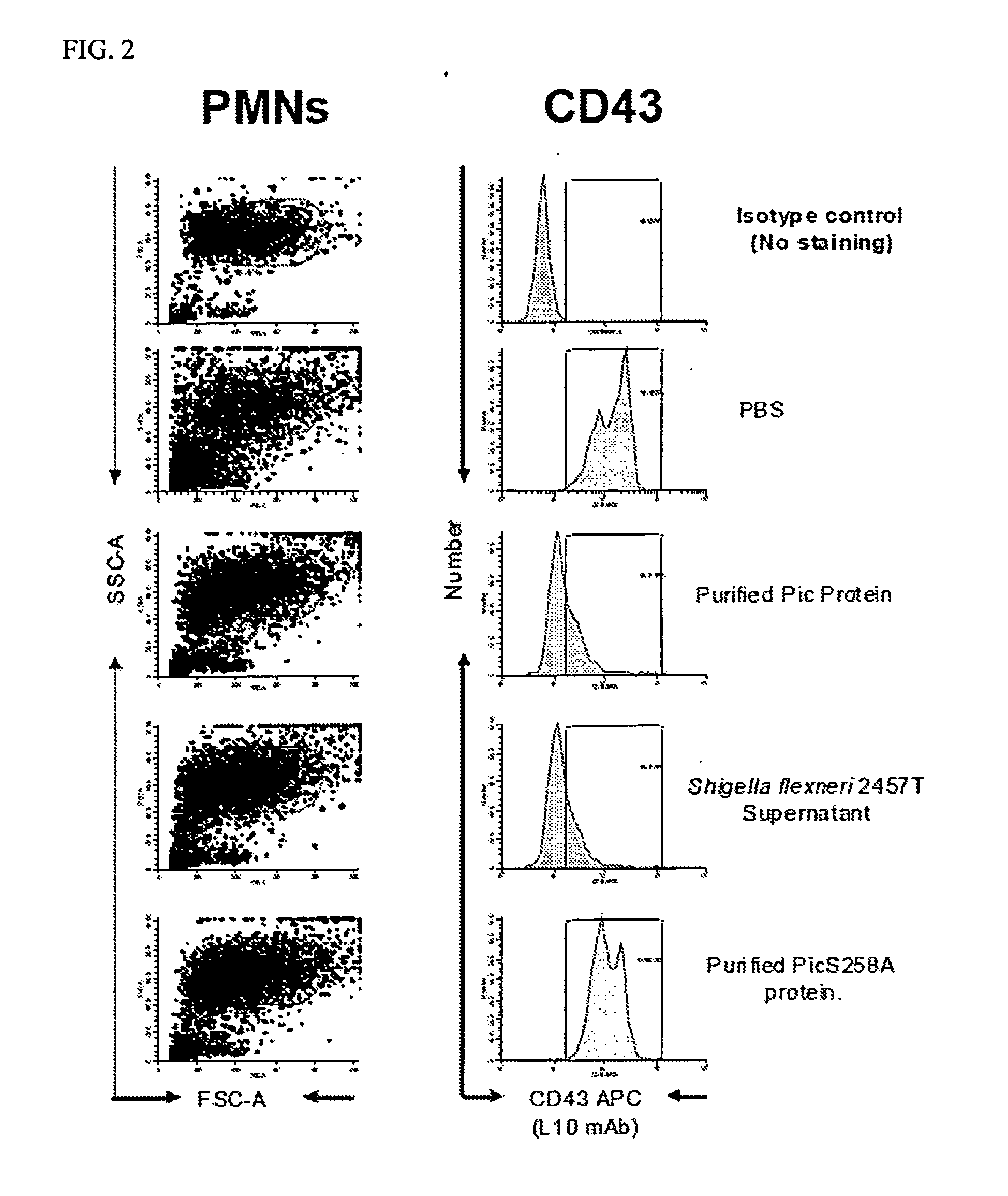Novel compositions and methods for treating inflammatory bowel disease and airway inflammation