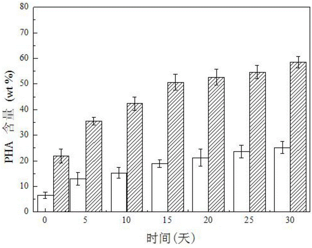 A method for synthesizing biodegradable plastics from aerobic granular sludge