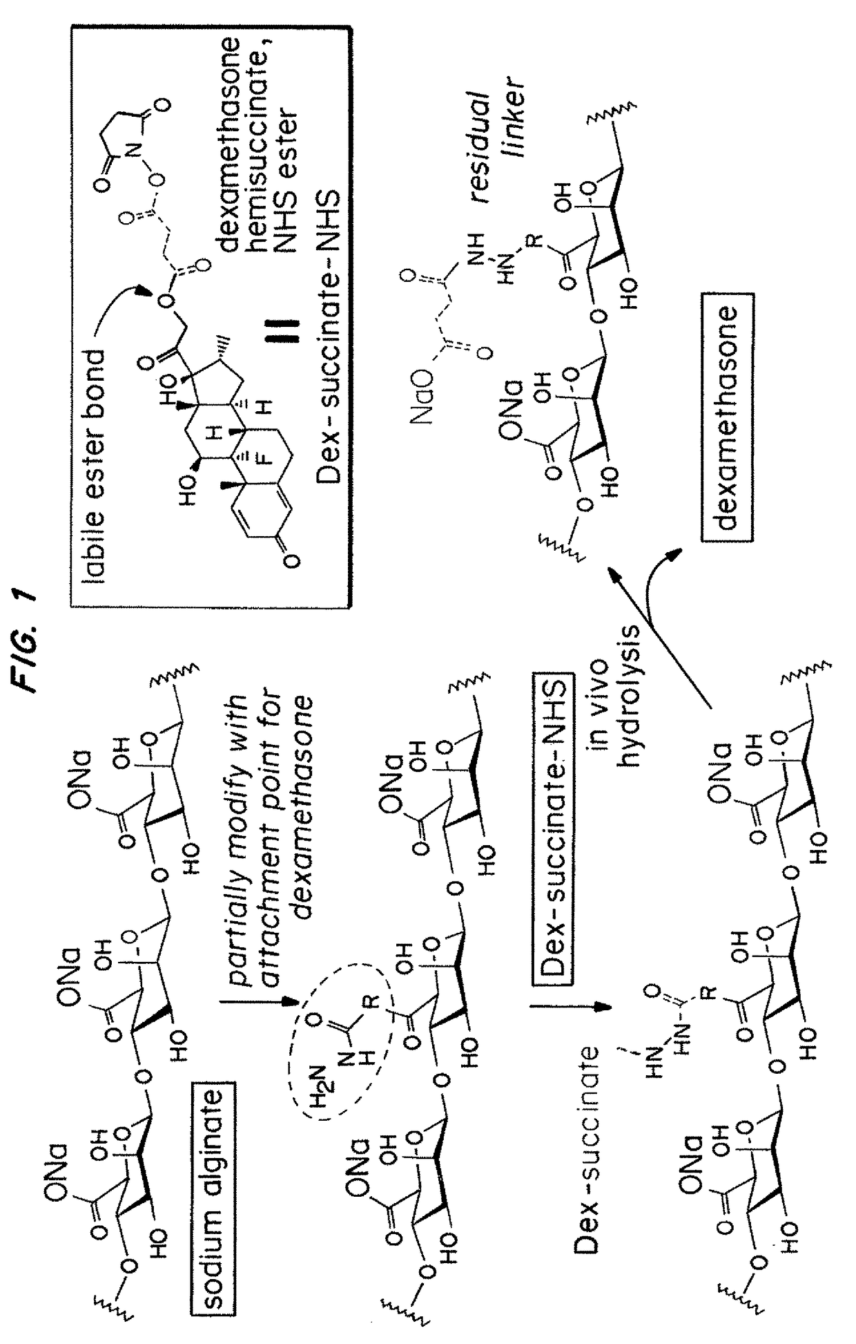 Hydrogel encapsulated cells and anti-inflammatory drugs