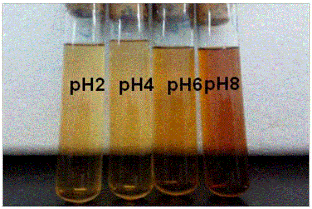 Method effectively improving heat stability of Nisin