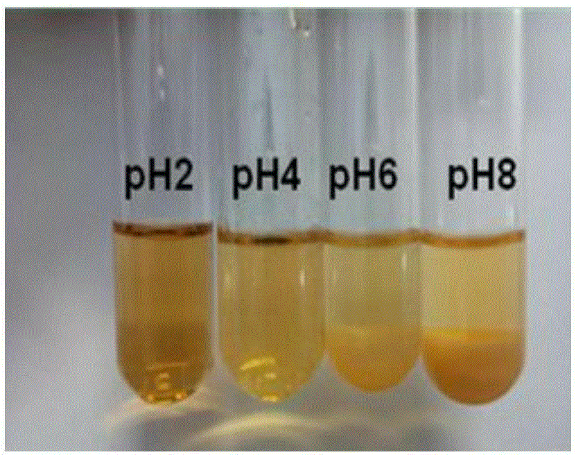 Method effectively improving heat stability of Nisin