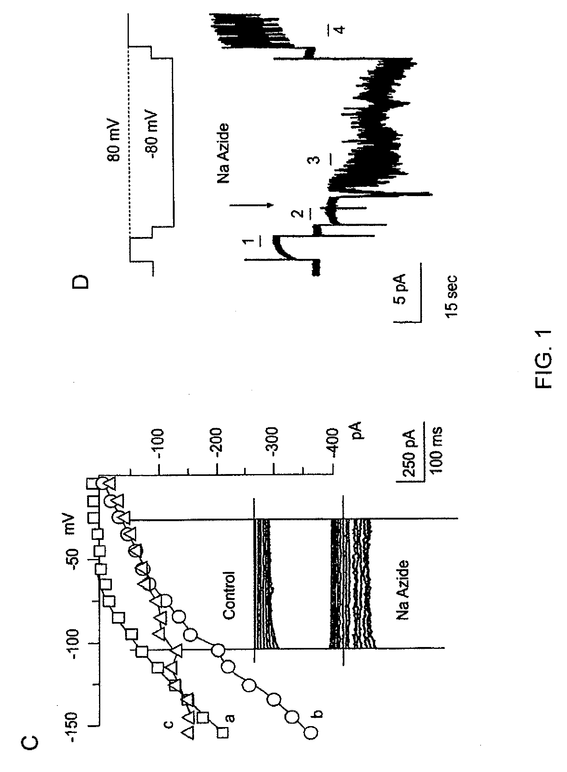 Novel non-selective cation channel in neuronal cells and method for treating brain swelling