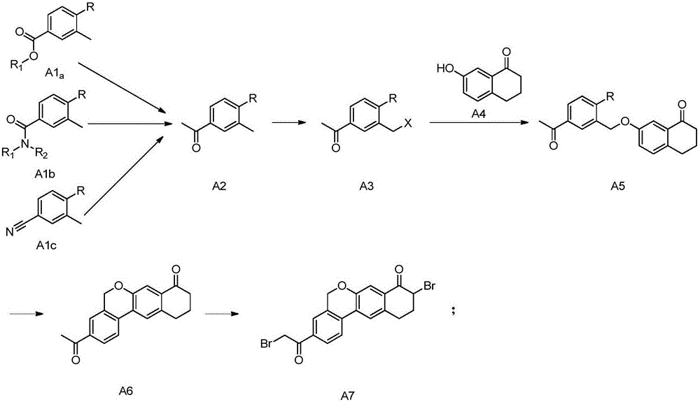 Novel method for synthesizing 9- bromine-3-(2-bromoacetyl)-10,11-dihydro-5H-dibenzo [c, g] chromene-8(9h)-ketone