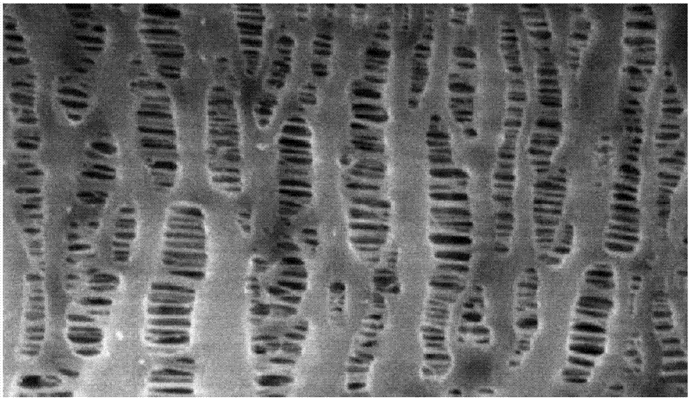 Even-structure and high-permeability microporous membrane used for filtering, and preparation method thereof