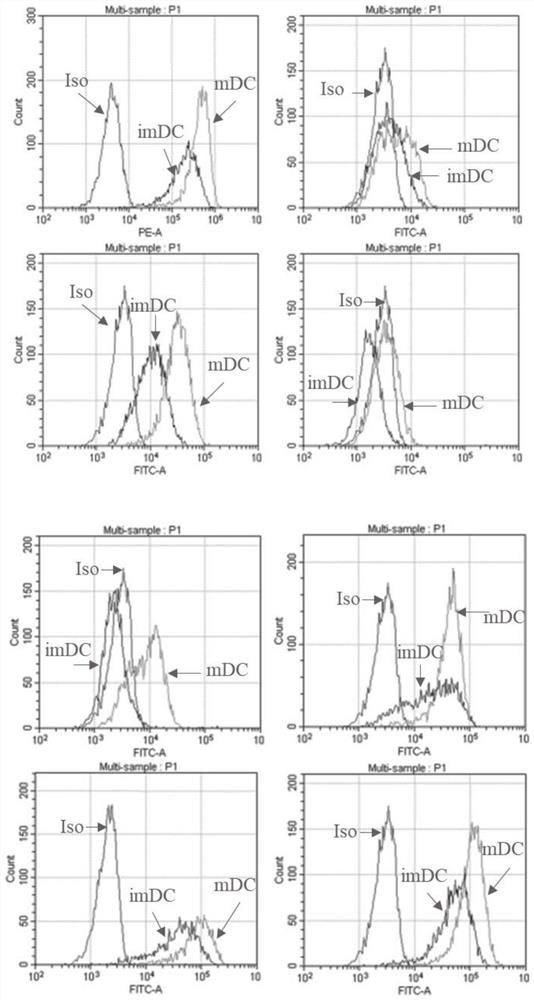 EBV (Epstein-Barr Virus) composite antigen, dendritic cell vaccine and application thereof