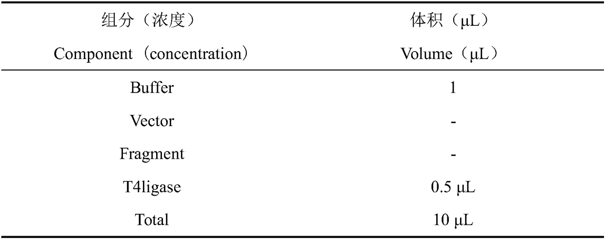 Construction of Lactobacillus curvularius ATCC55221 and application thereof in treatment of parturient nipple rhagadia