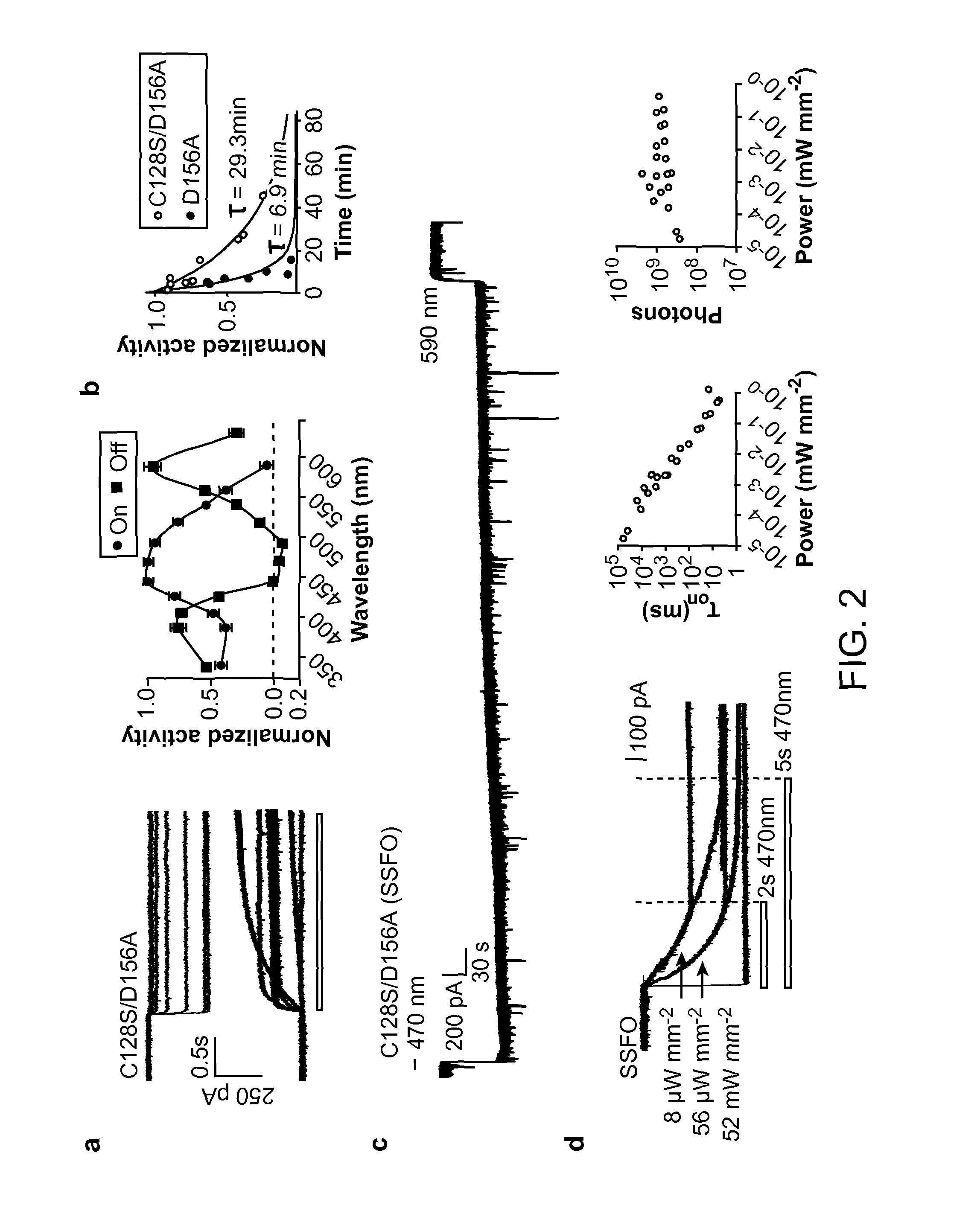 Stabilized step function opsin proteins and methods of using the same
