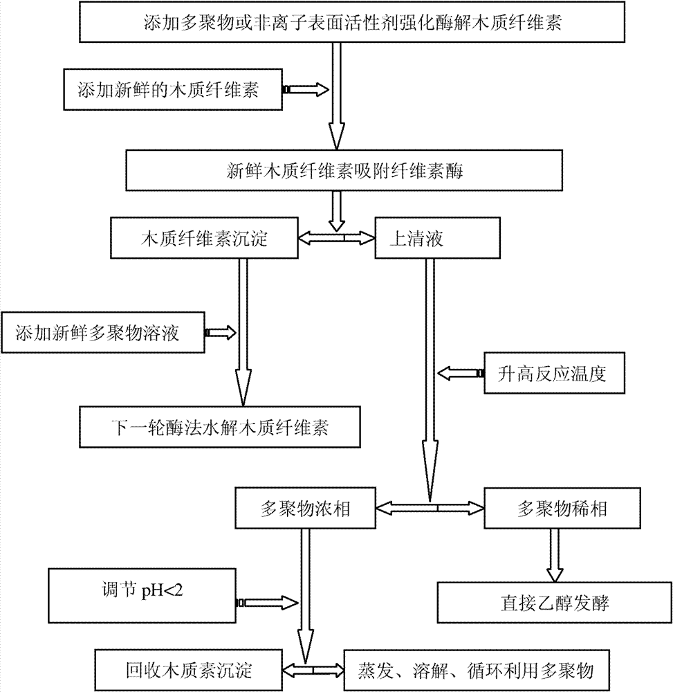 Extraction method of cellulase for improving hydrolysis of lignocellulose