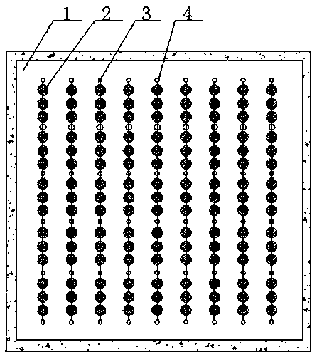 Breeding method of leeches in barrel-type net cage