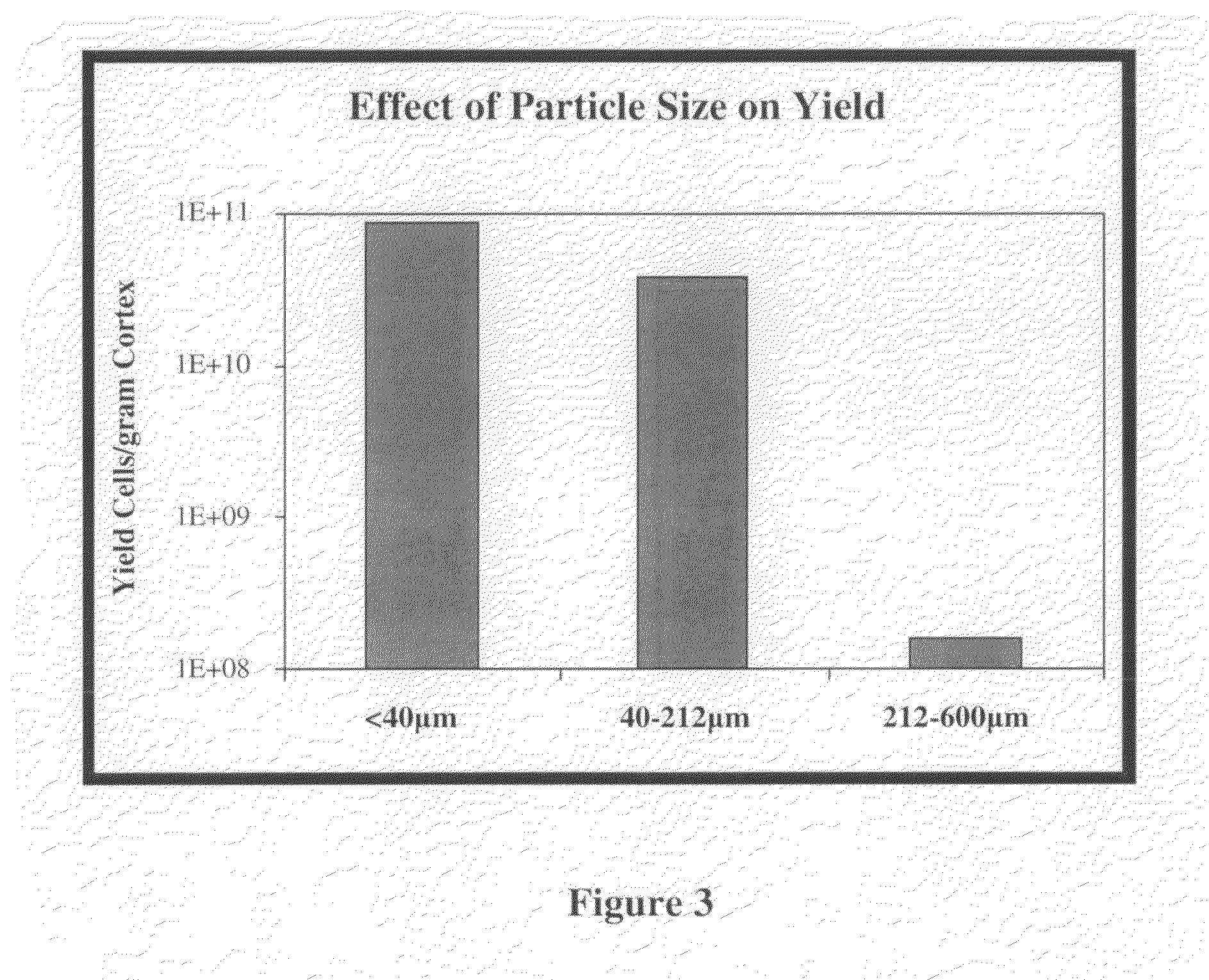 Methods for enhanced propagation of cells