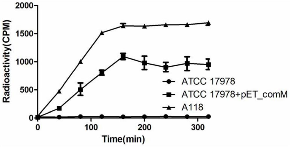 Primers, kit and method for detecting drug resistance of Acinetobacter baumannii