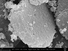 Electrochemical sensing electrode based on selenium functionalized honeycomb porous carbon nanosheet