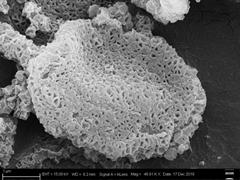 Electrochemical sensing electrode based on selenium functionalized honeycomb porous carbon nanosheet