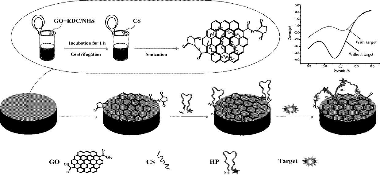 Aptamer biosensor preparation method adopting ferrocene as electron donor, and application of aptamer biosensor