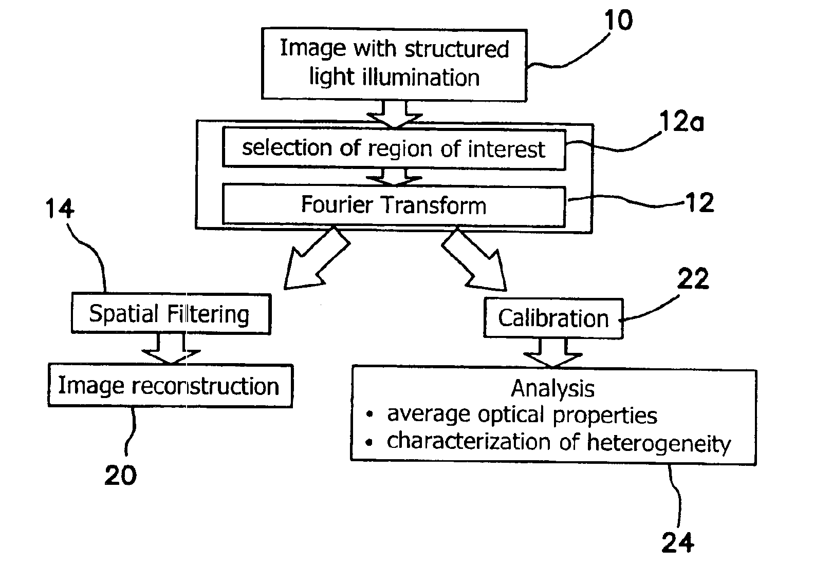 Method and apparatus for performing quantitative analysis and imaging surfaces and subsurfaces of turbid media using spatially structured illumination