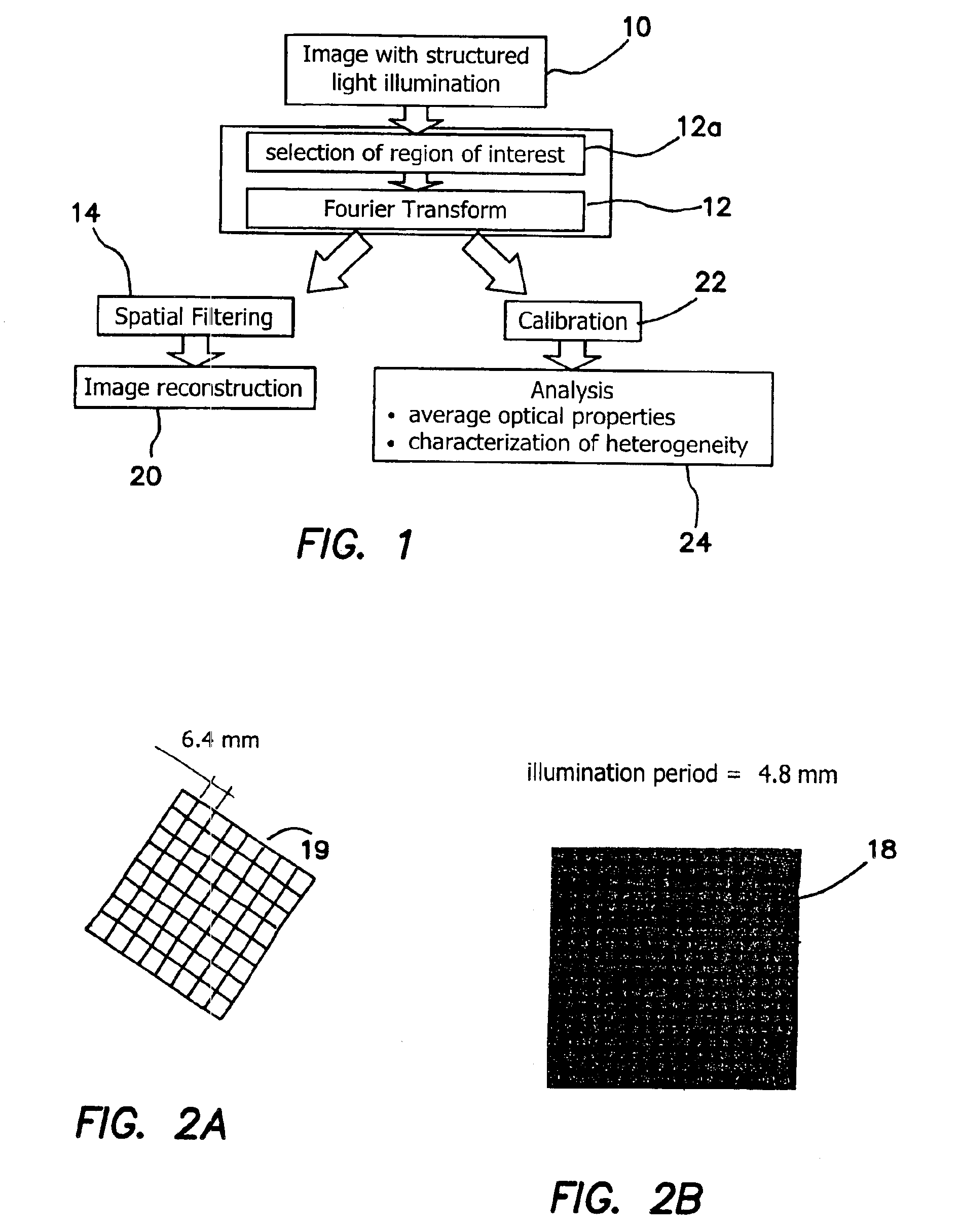 Method and apparatus for performing quantitative analysis and imaging surfaces and subsurfaces of turbid media using spatially structured illumination