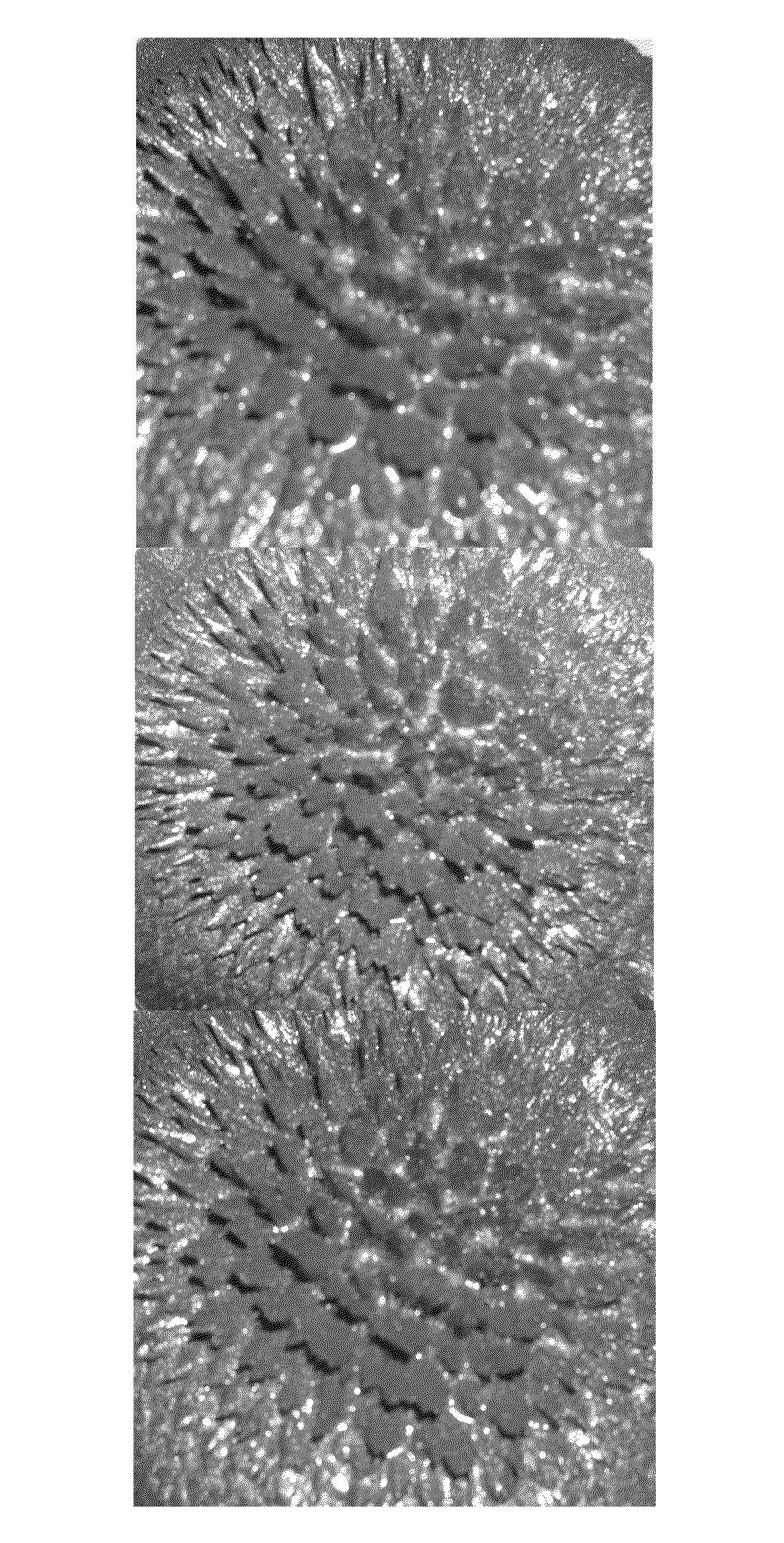 Porous materials embedded with nanoparticles, methods of fabrication and uses thereof