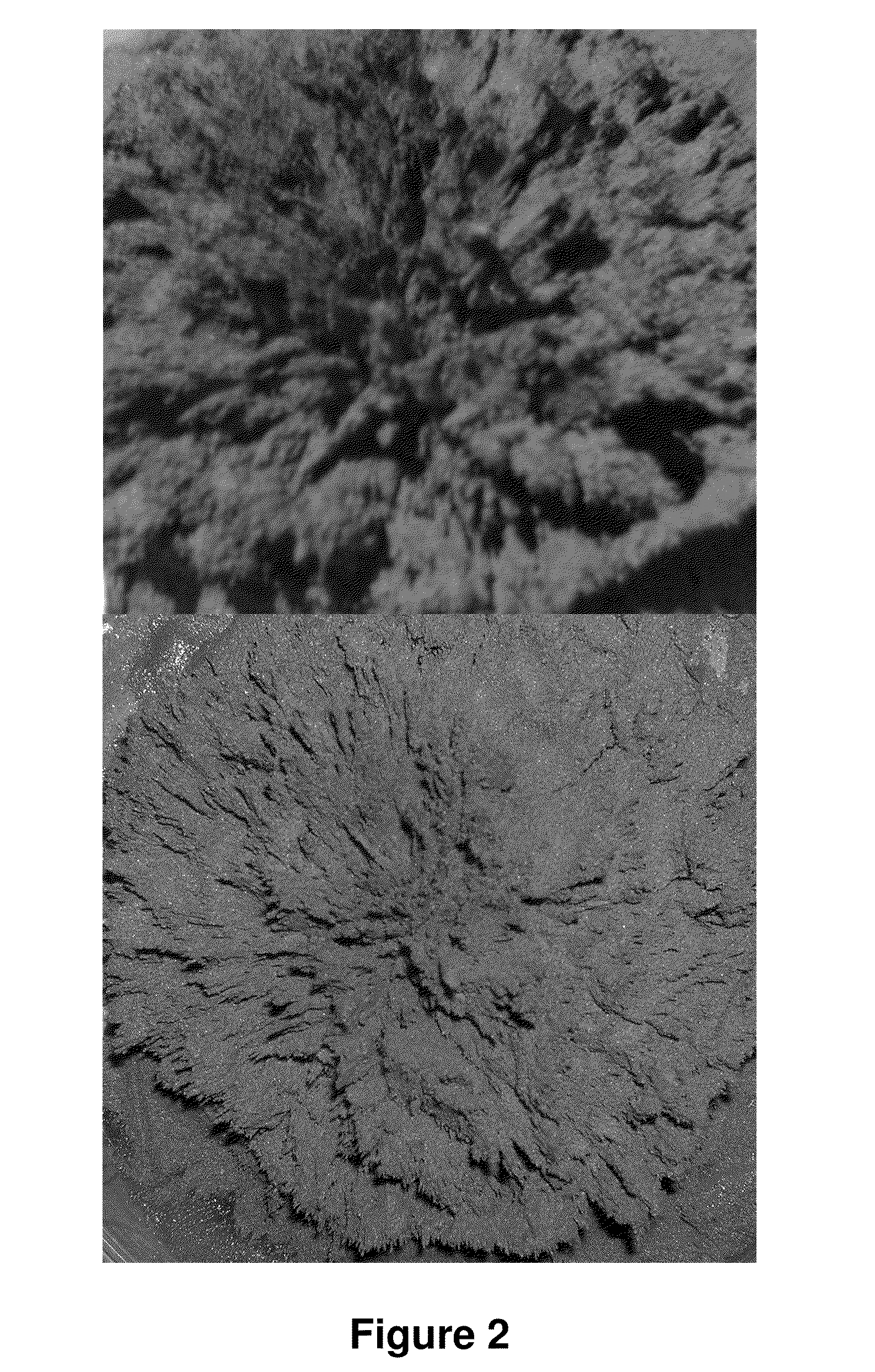 Porous materials embedded with nanoparticles, methods of fabrication and uses thereof