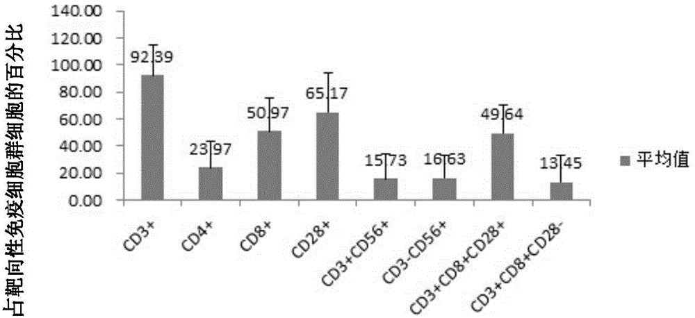DC cell based on HBV1 antigen, targeting immune cell population, preparation method and applications thereof