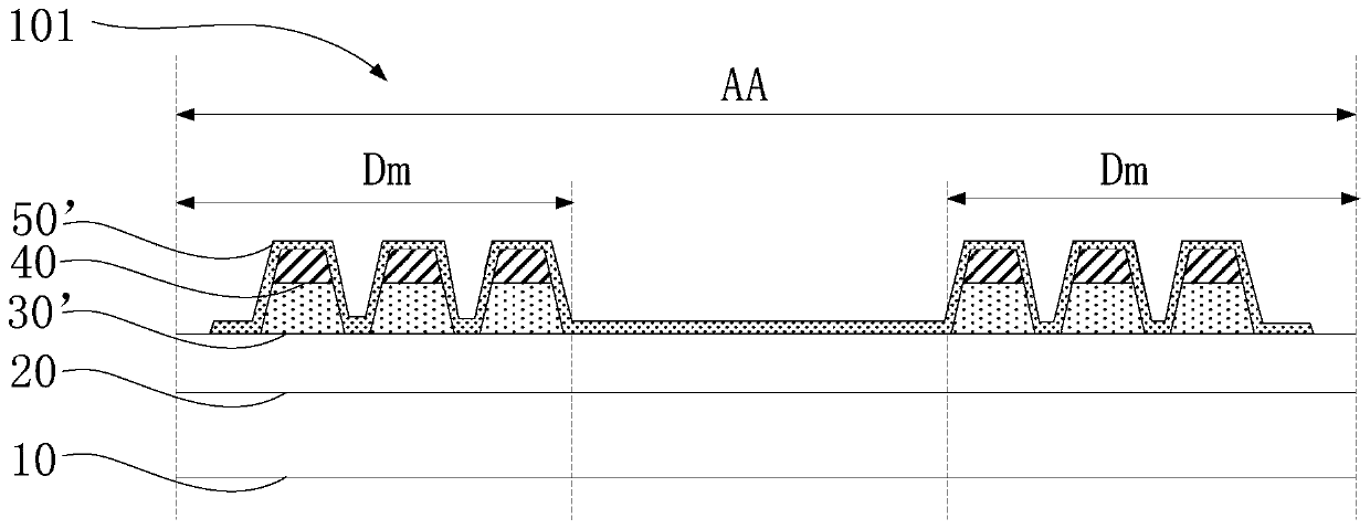 OLED display panel and display device