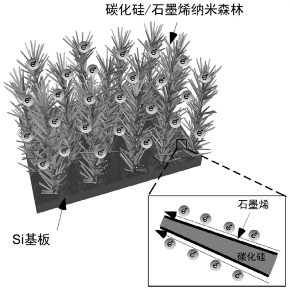 A kind of silicon carbide/graphene composite nano-forest film material and its preparation method and application