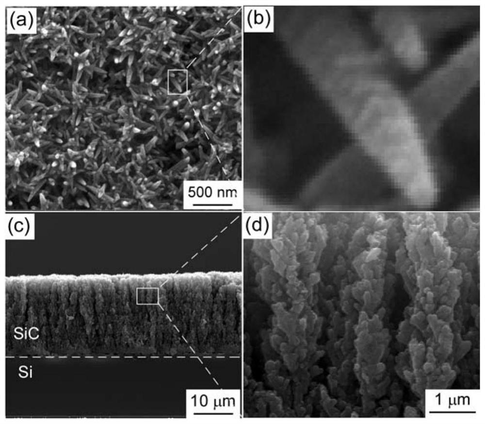 A kind of silicon carbide/graphene composite nano-forest film material and its preparation method and application