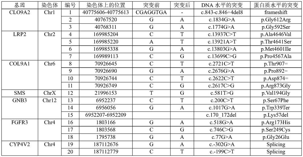 Gene chip, kit comprising gene chip and application of gene chip