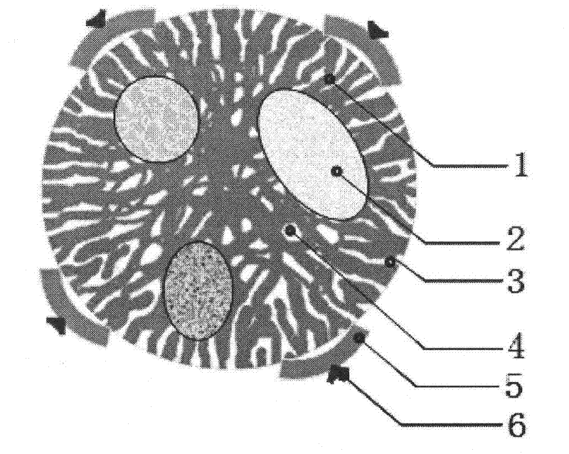 Plant cell microspheres and use thereof