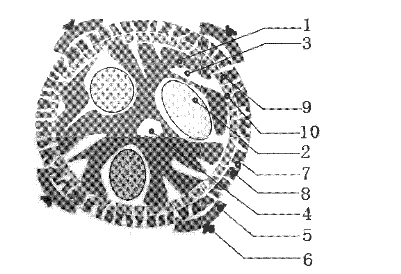 Plant cell microspheres and use thereof
