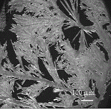 Tree-shaped rubrene crystal thin film preparation method adopting high boiling point solvent to carry out regulation and control