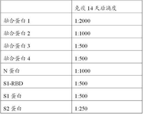 Novel coronavirus dominant epitope fusion protein, diagnostic reagent and application