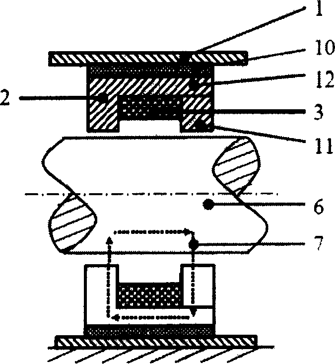 Electric eddy-current damping device for rotary machine rotor