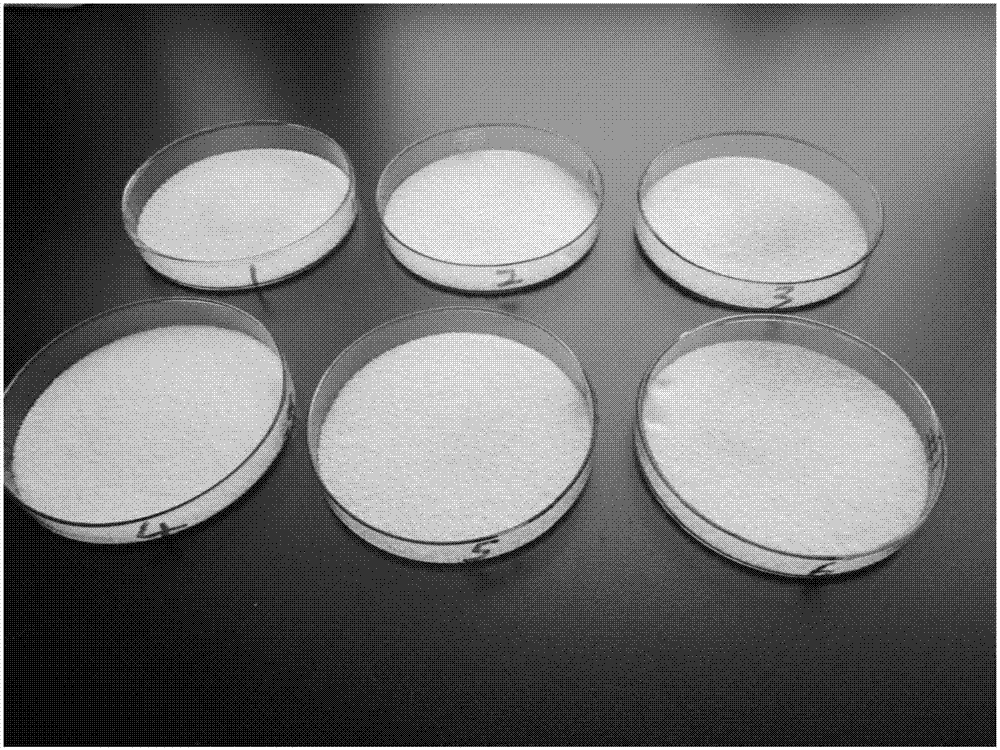 Preparation method of super absorbent resin resistant to moisture absorption and caking