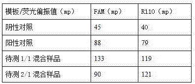 Method for homogenously detecting exon mutation indexes of EGFR gene 21