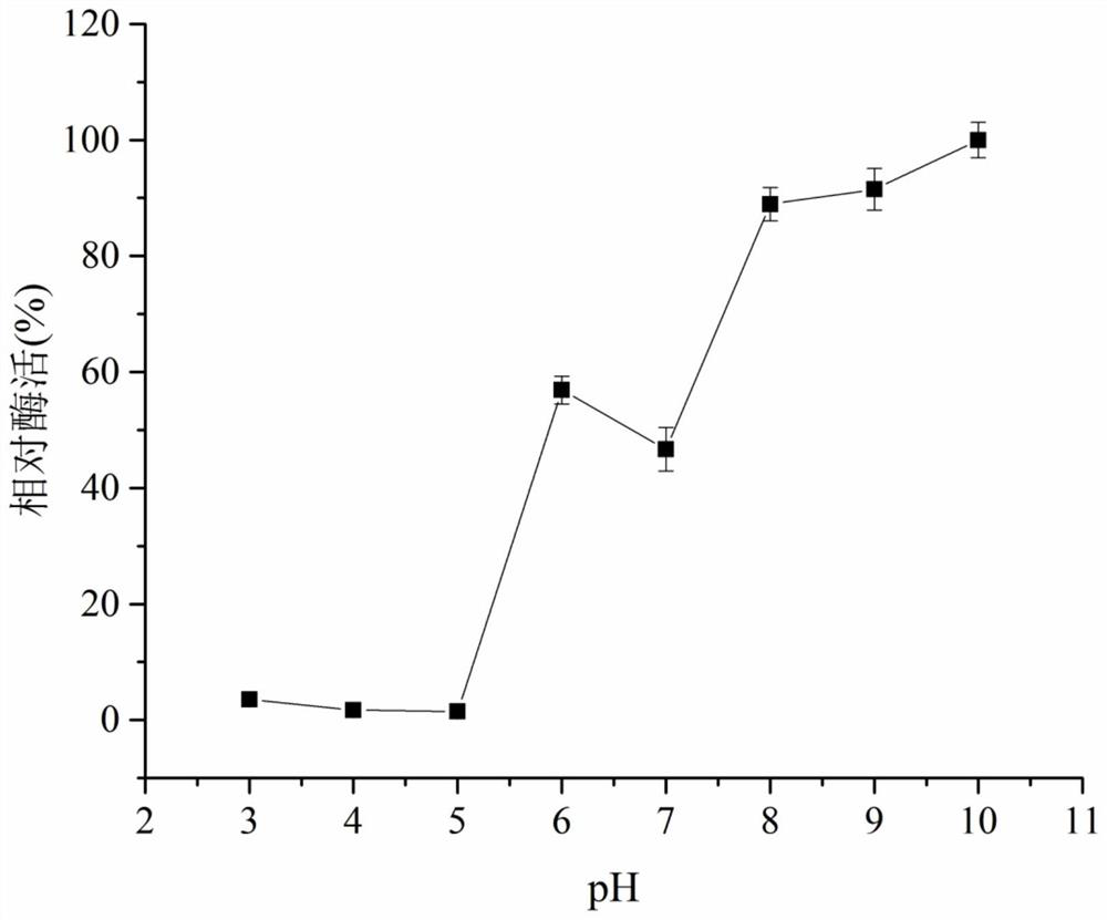 A kind of chitosanase and its application